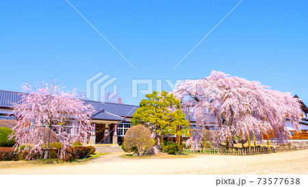 杵原学校（春）：長野県飯田市 73577638