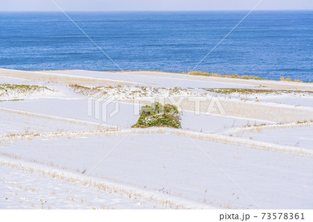 京都 新井の棚田(冬) 京都 新井の棚田(冬) 73578361