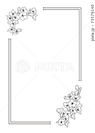 桜 線画 大正ロマン レトロな和風背景素材 100 148mmはがきサイズ 比率 のイラスト素材