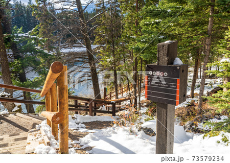 Bow River trail in winter sunny day. Banff National Park, Canadian Rockies. 73579234