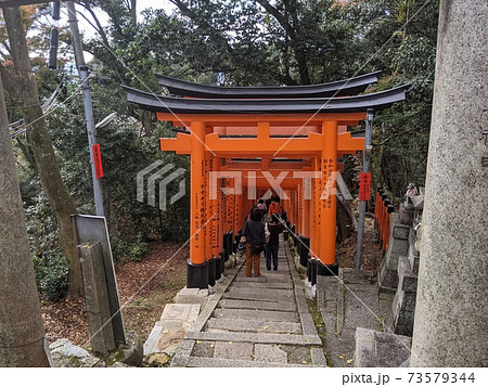 伏見稲荷神社の山頂までの急斜面の鳥居 上から の写真素材