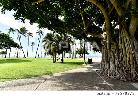 ハワイの休日 ハワイの休日 73579875