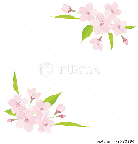 桜の花のイラスト素材 ベクター 白背景 切り抜き のイラスト素材