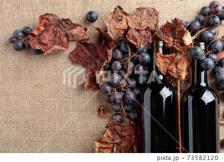 Red wine bottles and  grapes with dried up vine leaves. 73582120