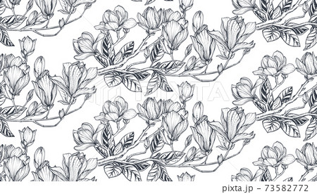 Vector floral seamless pattern of magnolia branches. Romantic elegant endless background 73582772