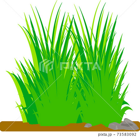 シンプルな草むらと石と地面の背景素材 小 のイラスト素材