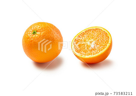 オレンジ 73583211