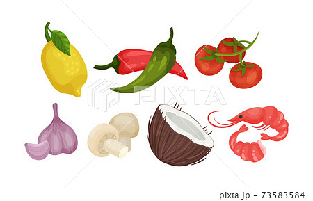 Hot Pepper and Tomatoes as Ingredients for Tom Yum or Tom Yam Thai Soup Vector Set 73583584