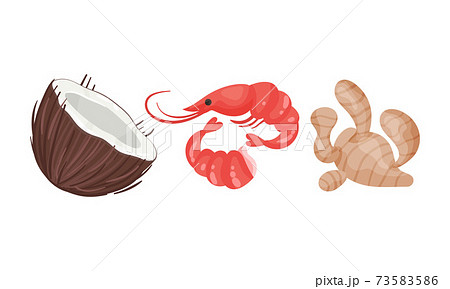 Coconut and Shrimp as Ingredients for Tom Yum or Tom Yam Thai Soup Vector Set 73583586