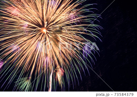 夜空を飾る大花火（戸田橋・いたばし花火大会） 73584379
