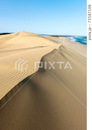 砂嵐で出来た風紋 73587106