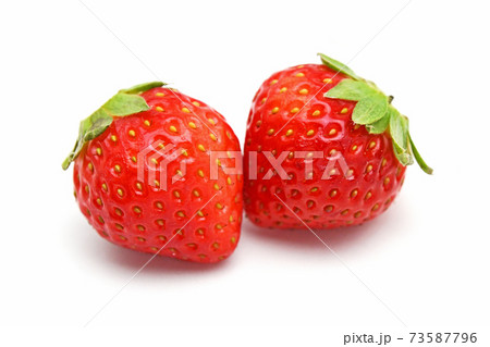 いちご（恋みのり） 73587796