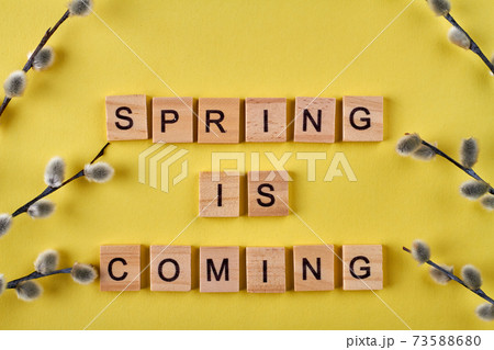 Spring is coming wooden cubes. 73588680