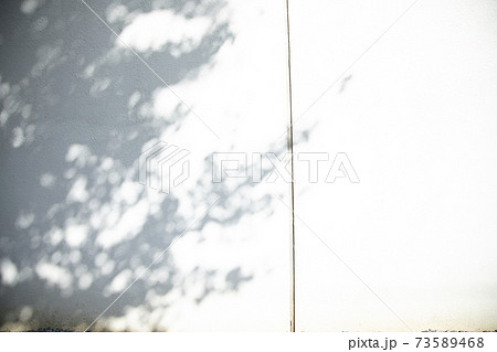 東京の町の風景　壁 73589468