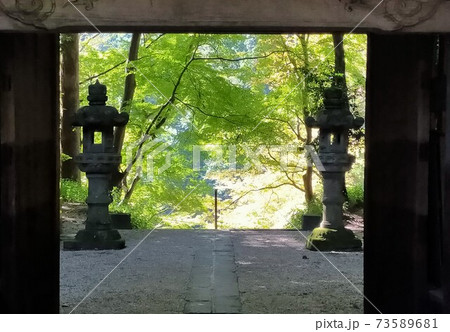 夏の境内　神社 73589681