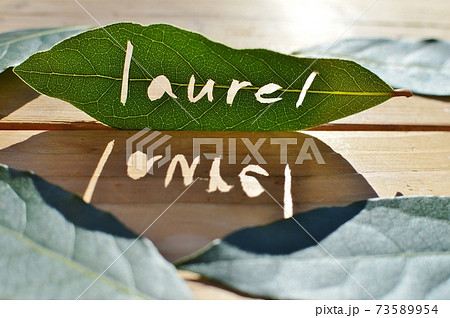 文字を切り抜いたローリエの葉の写真素材