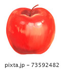 新鮮な真っ赤なリンゴ 73592482