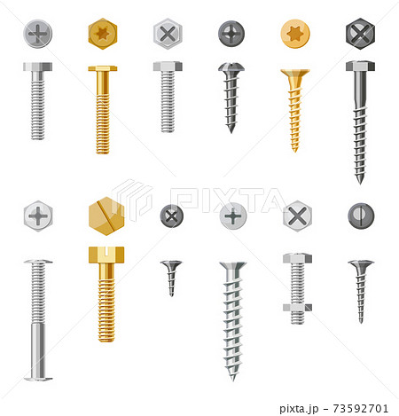 Set of isolated screw and nails. Vector bolt 73592701