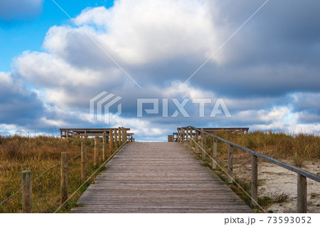Rise to the beach on shore of the Baltic Sea Rise to the beach on shore of the Baltic Sea 73593052