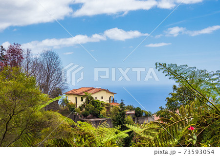 View to a house in Funchal on the island Madeira, Portugal View to a house in Funchal on the island Madeira, Portugal 73593054