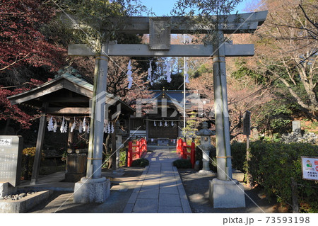 1月　国分寺97貫井神社と国分寺崖線 73593198