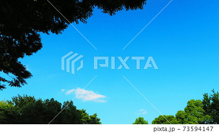 都立舎人公園の樹木と青空の風景 73594147