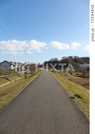 田舎道 田舎道 73594848