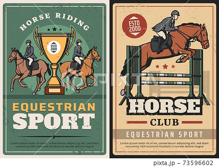 Equestrian sport, horse riding, race on hippodrome 73596602