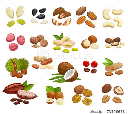 Nuts, beans and seeds of super food 73596658