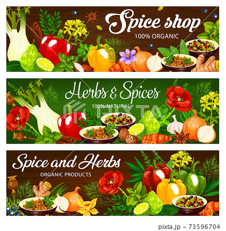 Herbs and spices, seasonings vector banners Herbs and spices, seasonings vector banners 73596704