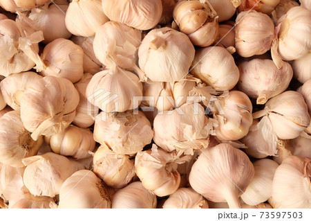 Large garlic background, Garlics texture Large garlic background, Garlics texture 73597503