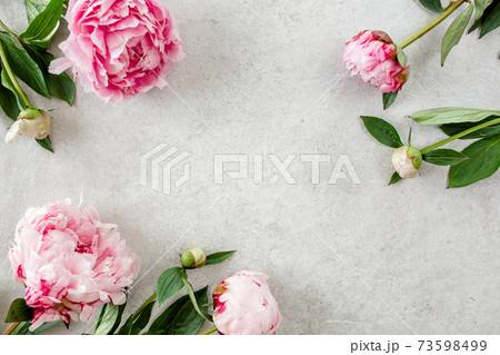Beautiful pink peony flowers on gray stone table with copy space for your text. Flat style, top view Beautiful pink peony flowers on gray stone table with copy space for your text. Flat style, top view 73598499