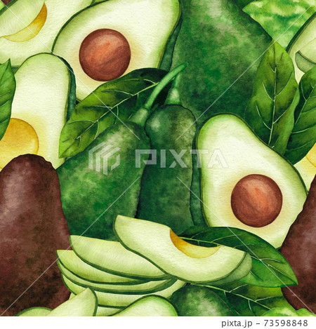 Watercolor avocado fruits and leaves isolated on white background 73598848