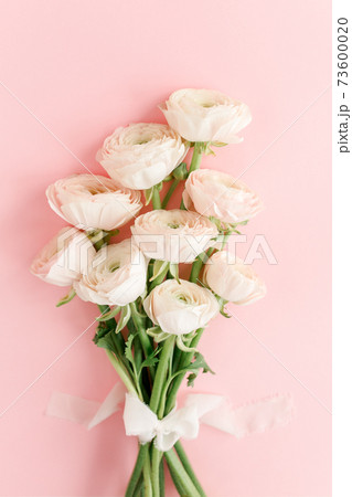 Pastel pink ranunculus flowers bouquet on pink background. Minimal floral concept. Flat lay, top view. Pastel pink ranunculus flowers bouquet on pink background. Minimal floral concept. Flat lay, top view. 73600020