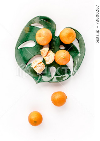 Ceramic plate-leaf Monstera with tangerines isolated on white background. Flat lay, top view. Ceramic plate-leaf Monstera with tangerines isolated on white background. Flat lay, top view. 73600267