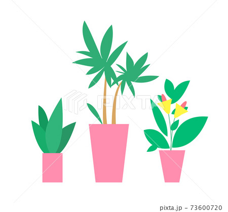 Plants in Pots Interior Decor Vector Illustration Plants in Pots Interior Decor Vector Illustration 73600720
