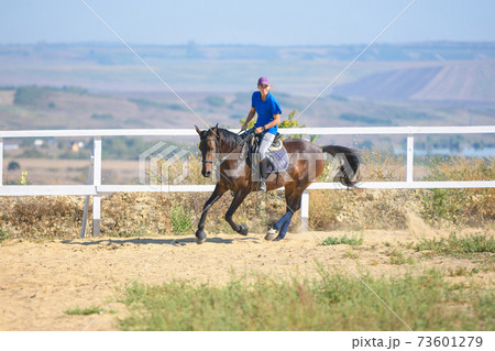 A girl on a horse ride rides a horse in the corral A girl on a horse ride rides a horse in the corral 73601279
