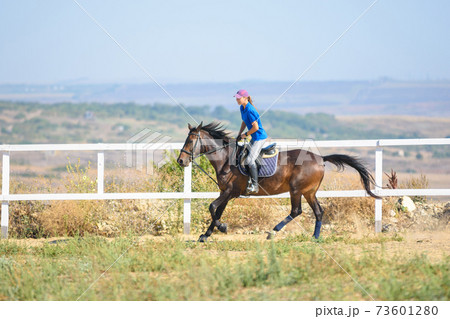 Girl rides a horse along the fence of the corral Girl rides a horse along the fence of the corral 73601280