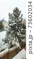 Photo with fluffy pine covered with snow in a snowy field 73602034