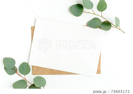 Mockup invitation, blank greeting card and green leaves eucalyptus. Flat lay, top view. Mockup invitation, blank greeting card and green leaves eucalyptus. Flat lay, top view. 73603172