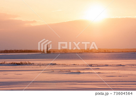 強風雪原 73604564