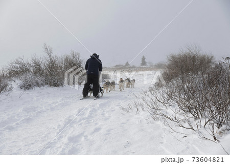 Bulgaria, Sofia, Vitosha mountain, 28 December, 2020 Bulgaria, Sofia, Vitosha mountain, 28 December, 2020 73604821