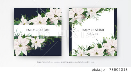 Winter season wedding floral invite, invitation, greeting card editable vector template set. White Poinsettia flowers, Christmas spruce tree branches, Eucalyptus, greenery leaves bouquet frame, border 73605013