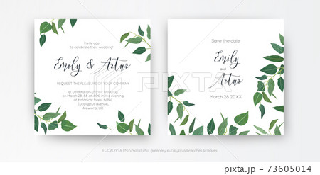 Modern, minimalist style leafy wedding invitation, floral invite card design. Natural eco-friendly eucalyptus greenery branches, green leaves decorative illustration. Vector art botanical template set 73605014