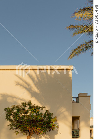 Shadows from palm trees on the light walls of a building background Shadows from palm trees on the light walls of a building background 73605498