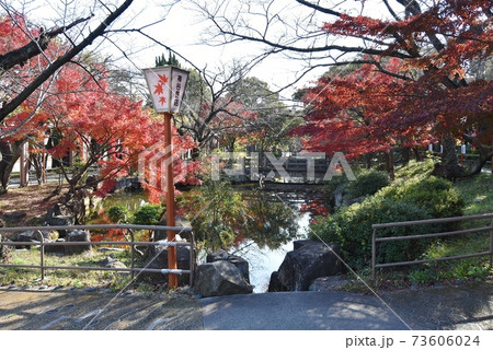 晩秋の大山緑地公園 晩秋の大山緑地公園 73606024