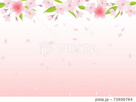 桜の花のイラスト素材(ベクター・背景素材) 桜の花のイラスト素材(ベクター・背景素材) 73606764