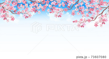 桜 春 花 背景のイラスト素材