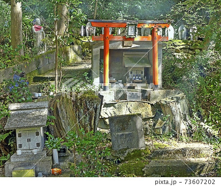 義経馬つなぎの松　高尾山地蔵院 73607202