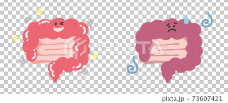 腸内環境のビフォーアフターのイラストのイラスト素材